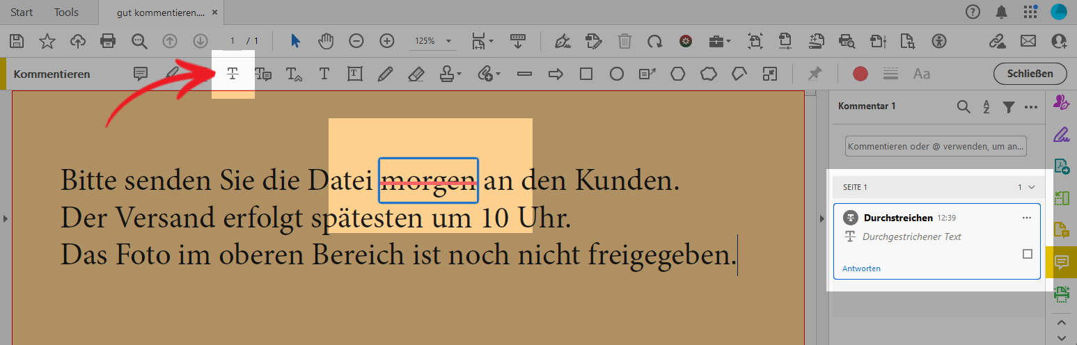 Der Screenshot zeigt einen Text in Acrobat, der mit dem Text-streichen Werkzeug durchgestrichen wurde