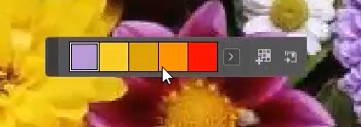 Die Farben werden in InDesign in einem kleinen, schwebenden Bedienfeld angezeigt.